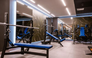 ZONE Private Health Club - Teretana Fitness Zone proteže se na preko 350m2 i opremljena je najnovijom Life Fitness i Hammer Strength profesionalnom opremom. Predstavlja savršen izbor za sve koji žele da poboljšaju svoju fizičku kondiciju i pozitivno utiču na svoje zdravlje. Na raspolaganju su najrazličitije vrste profesionalnih sprava – od kardiovaskularnih do multifunkcionalnih. Svaki korisnik ima mogućnost da samostalno odabere vrstu treninga koji želi da radi – bilo da se radi o vežbama za snagu, kardio treningu ili vežbama za poboljšanje fleksibilnosti. Sa divnim pogledom na uređeni vrt, Fitness Zone dodatno motiviše svoje članove pružajući prijatan ambijent za vežbanje. Pored profesionalne opreme za vežbanje, dostupan je i stručan tim trenera koji su tu za Vas kako biste dobili sve potrebne savete i podršku u ostvarivanju svojih ciljeva.