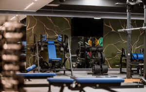 ZONE Private Health Club - Teretana Fitness Zone proteže se na preko 350m2 i opremljena je najnovijom Life Fitness i Hammer Strength profesionalnom opremom. Predstavlja savršen izbor za sve koji žele da poboljšaju svoju fizičku kondiciju i pozitivno utiču na svoje zdravlje. Na raspolaganju su najrazličitije vrste profesionalnih sprava – od kardiovaskularnih do multifunkcionalnih. Svaki korisnik ima mogućnost da samostalno odabere vrstu treninga koji želi da radi – bilo da se radi o vežbama za snagu, kardio treningu ili vežbama za poboljšanje fleksibilnosti. Sa divnim pogledom na uređeni vrt, Fitness Zone dodatno motiviše svoje članove pružajući prijatan ambijent za vežbanje. Pored profesionalne opreme za vežbanje, dostupan je i stručan tim trenera koji su tu za Vas kako biste dobili sve potrebne savete i podršku u ostvarivanju svojih ciljeva.