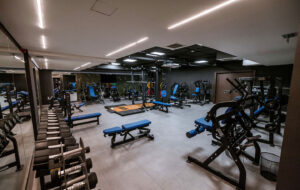 ZONE Private Health Club - Teretana Fitness Zone proteže se na preko 350m2 i opremljena je najnovijom Life Fitness i Hammer Strength profesionalnom opremom. Predstavlja savršen izbor za sve koji žele da poboljšaju svoju fizičku kondiciju i pozitivno utiču na svoje zdravlje. Na raspolaganju su najrazličitije vrste profesionalnih sprava – od kardiovaskularnih do multifunkcionalnih. Svaki korisnik ima mogućnost da samostalno odabere vrstu treninga koji želi da radi – bilo da se radi o vežbama za snagu, kardio treningu ili vežbama za poboljšanje fleksibilnosti. Sa divnim pogledom na uređeni vrt, Fitness Zone dodatno motiviše svoje članove pružajući prijatan ambijent za vežbanje. Pored profesionalne opreme za vežbanje, dostupan je i stručan tim trenera koji su tu za Vas kako biste dobili sve potrebne savete i podršku u ostvarivanju svojih ciljeva.