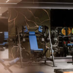 ZONE Private Health Club - Teretana Fitness Zone proteže se na preko 350m2 i opremljena je najnovijom Life Fitness i Hammer Strength profesionalnom opremom. Predstavlja savršen izbor za sve koji žele da poboljšaju svoju fizičku kondiciju i pozitivno utiču na svoje zdravlje. Na raspolaganju su najrazličitije vrste profesionalnih sprava – od kardiovaskularnih do multifunkcionalnih. Svaki korisnik ima mogućnost da samostalno odabere vrstu treninga koji želi da radi – bilo da se radi o vežbama za snagu, kardio treningu ili vežbama za poboljšanje fleksibilnosti. Sa divnim pogledom na uređeni vrt, Fitness Zone dodatno motiviše svoje članove pružajući prijatan ambijent za vežbanje. Pored profesionalne opreme za vežbanje, dostupan je i stručan tim trenera koji su tu za Vas kako biste dobili sve potrebne savete i podršku u ostvarivanju svojih ciljeva.
